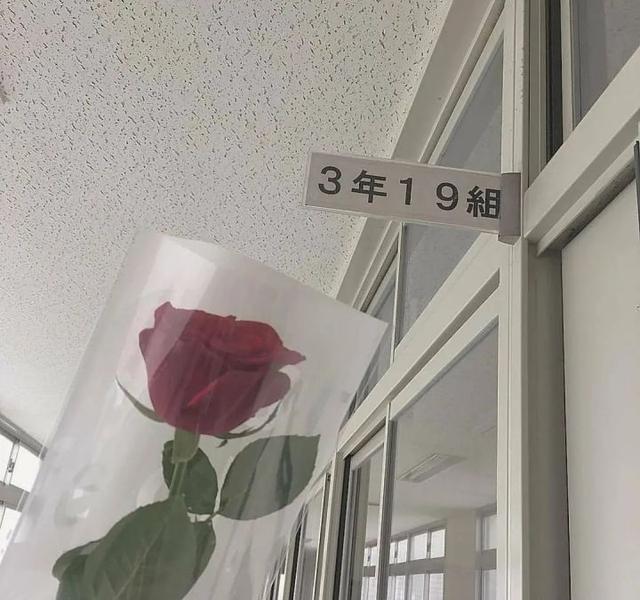 三观不正听了却很舒服的句子（3）