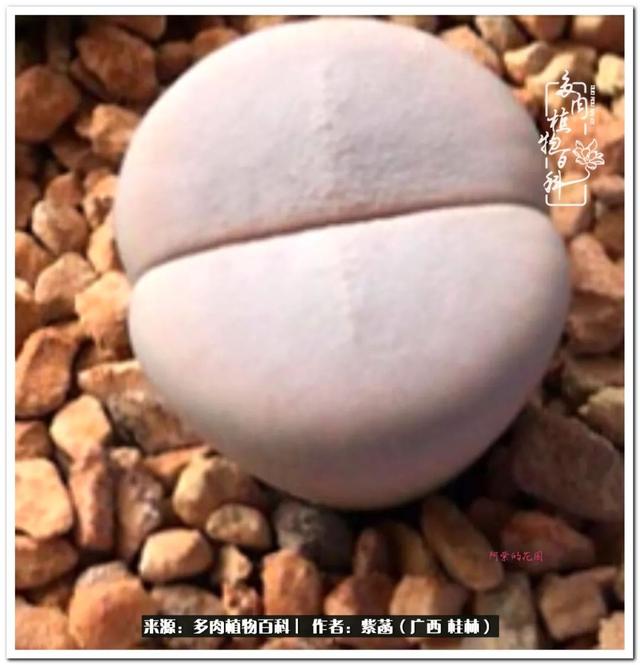 桂林滚筒式洗砂机厂家