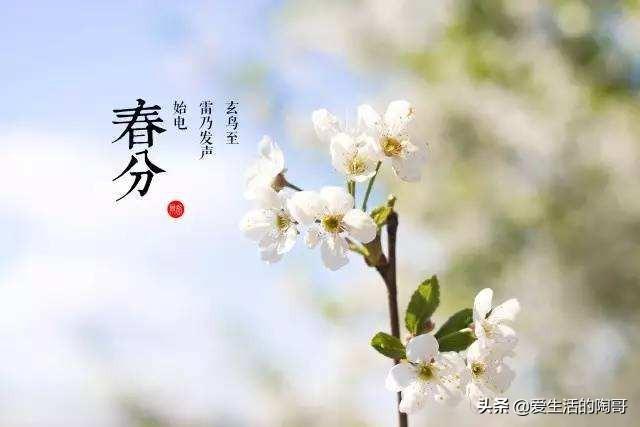 春分到，吃2春菜，食2春果，喝2春茶，做2春事，健康快乐过春天