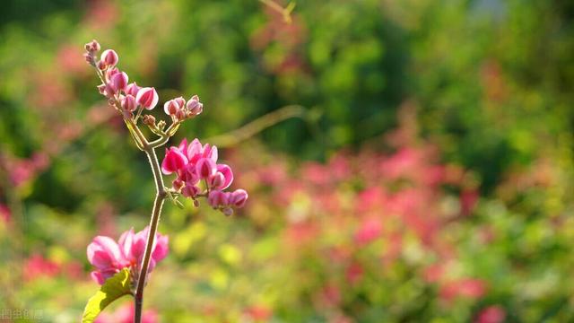 让一个观念，使自己更轻松和愉悦