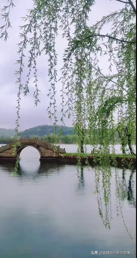 岁月，就是一场花开，花开时鲜艳夺目，芬芳浓郁，蝴蝶也随之而来