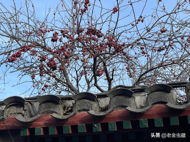 去大興胡同看城隍廟遺迹，順便喝一碗老北京的面茶