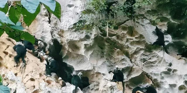 這個冬天，你應該去一趟廣西之崇左玉林靖西