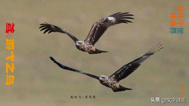 鹄的是什么意思