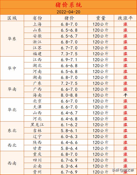 擂鼓助威！猪价“冲天大涨”，20日多地猪价直冲7元，啥情况？