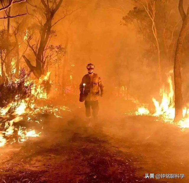 澳大利亚究竟有什么特殊？为什么每隔一段时间就发生森林火灾？