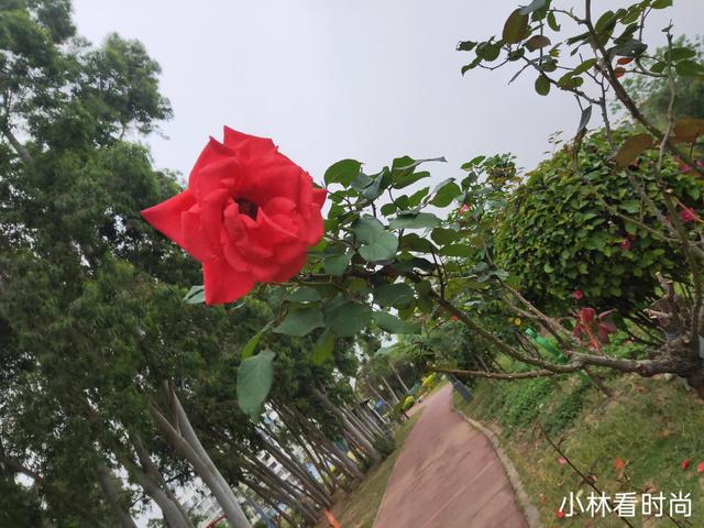 生活的美好