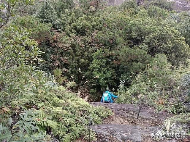 大羅山有處二師兄奇石，惟妙惟肖，你可找到過？