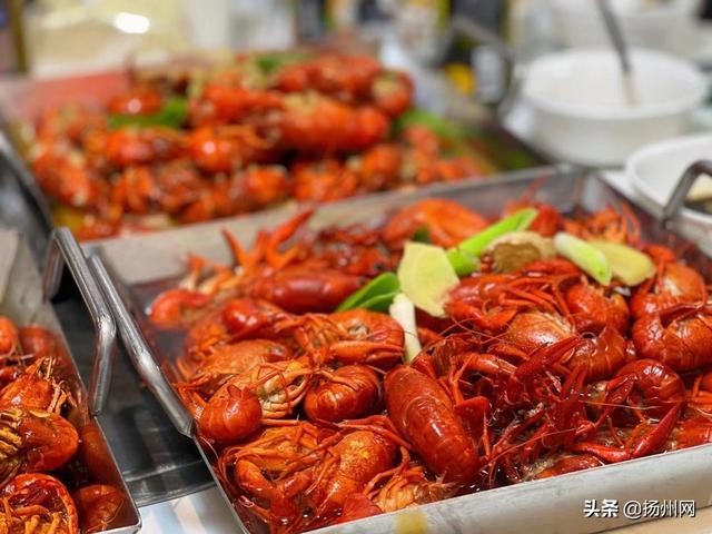 小龙虾虾苗多少钱一斤 99元/5斤、100元/6斤……小龙虾价格进入“亲民季”