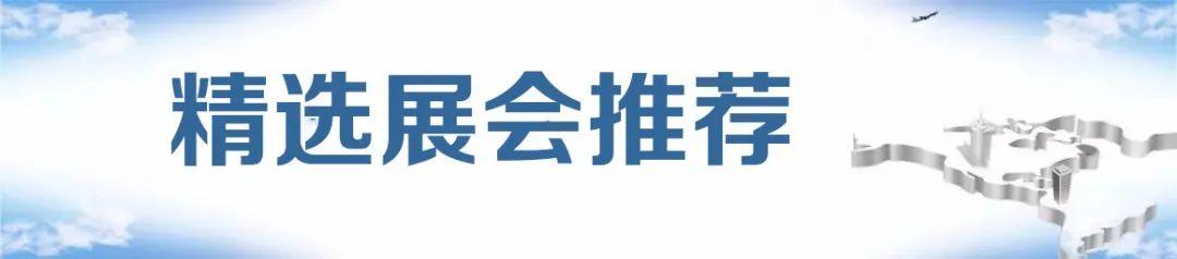 2017年瑞安机械展