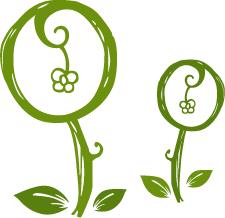 每日一膳 |八角茴香是厨房调味必备，但有伪品，小心辨识 ~广东省中医院杨志敏教授今日推荐