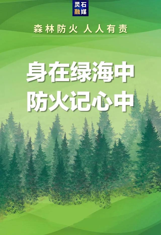 @山西人，4月1日起，驾驶证记分规则将迎来重要调整