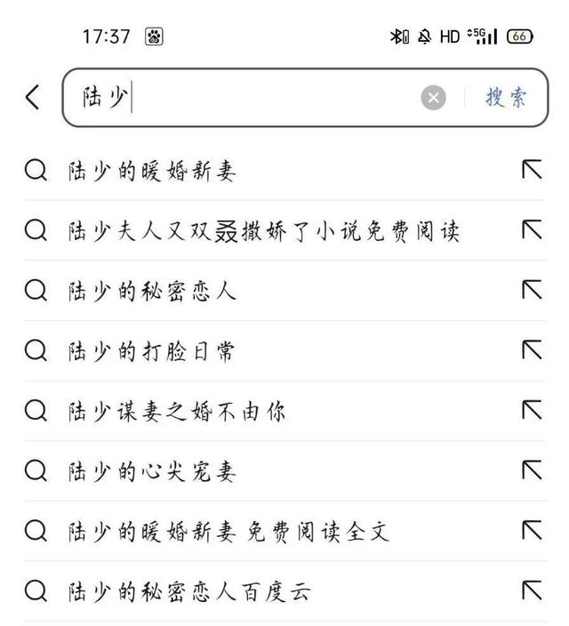 胜女的代价剧情介绍
