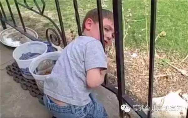 熊孩子的头，无所不卡