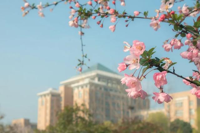 喜报！国家科技进步二等奖