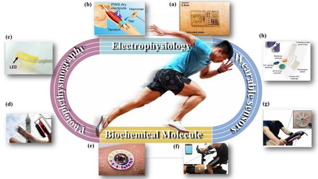 苏炳添：柔性可穿戴传感器运动监测应用 | 论文摘录和全文下载