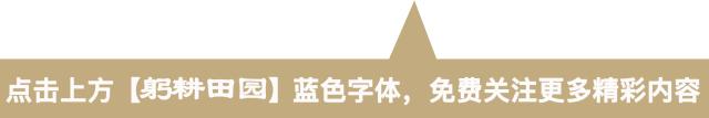 「惊蛰」躬耕田园