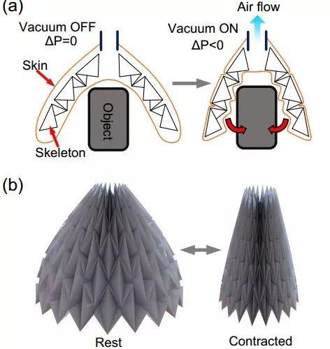 一个折纸“花”，竟能成为美军方的黑科技研发项目