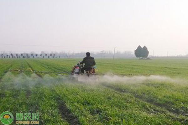 常见除草剂种类