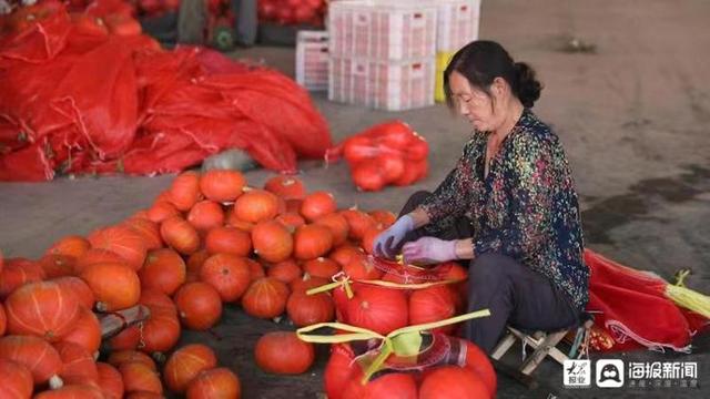 探访山东寿光蔬菜批发市场：黄瓜西红柿集中上市“菜篮子”供应充足2