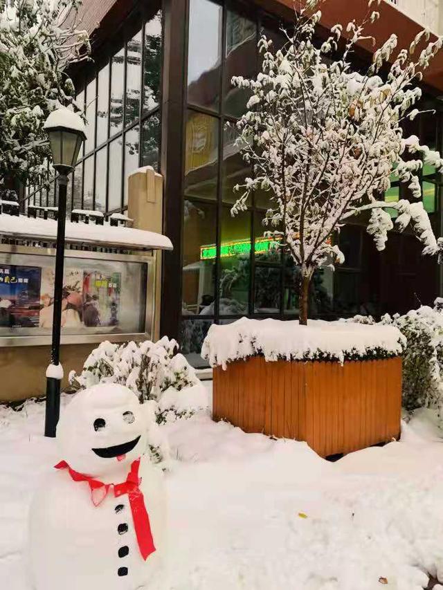 初雪如约至，天桥区凡尔赛幼儿园“破冰行动”来保障