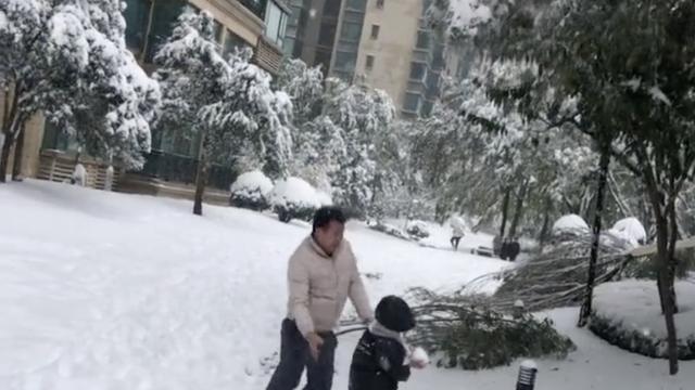 变身孩子“保护神”！树枝被大雪压断 父亲瞬间抱走儿子：本能反应