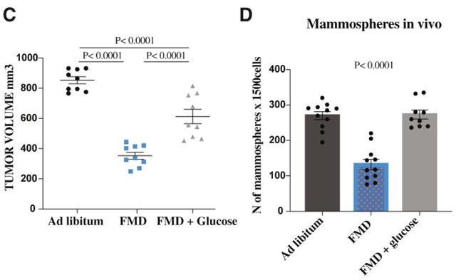 《细胞》子刊：饿了肚子，强了药效！科学家发现模拟禁食可抑制三阴性乳腺癌干细胞，并可增强靶向药疗效丨科学大发现