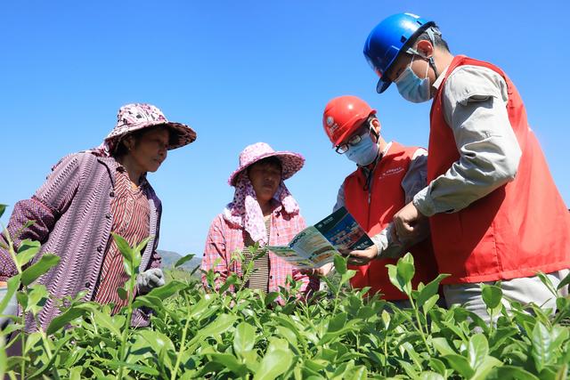 安溪印刷包装机械展公司