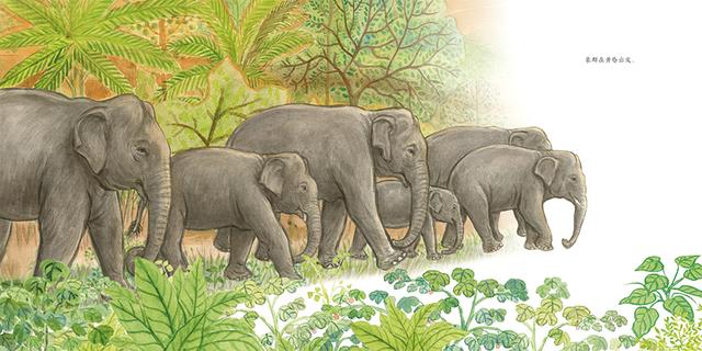 对话700位名人的童年 | 童书新品