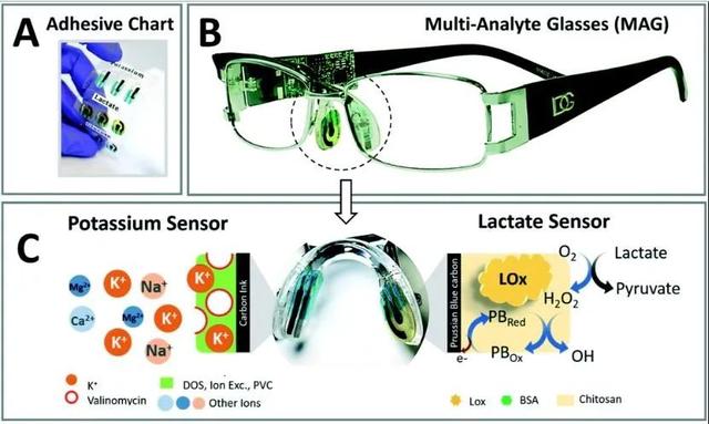 苏炳添：柔性可穿戴传感器运动监测应用 | 论文摘录和全文下载