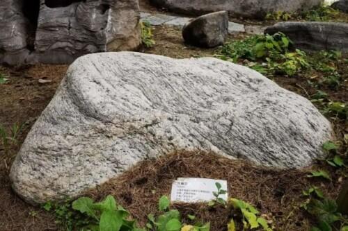 攀枝花花岗岩制砂机