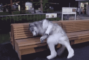 爸爸带娃隔离14天女儿头发炸毛，妈妈：回来后洗了一个多小时