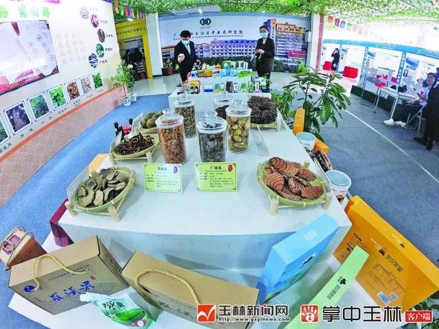 广西制药机械展