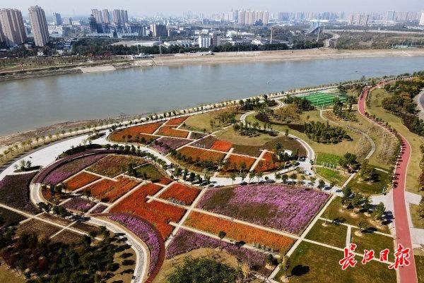 忘羡再生缘11一只漂亮的鹅卵石制砂机