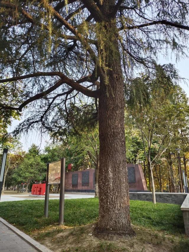 芜湖在建工程安展蔚然颐园