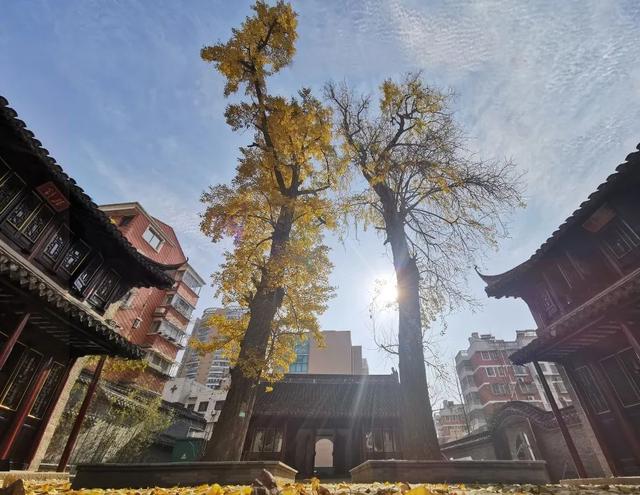 芜湖在建工程安展蔚然颐园