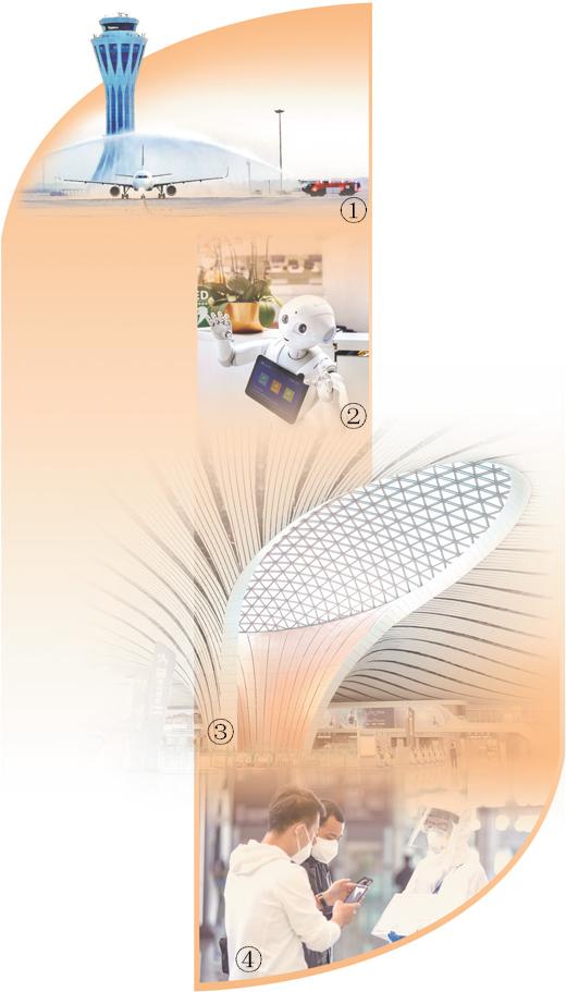 捡来的管家公txt（我的傻相公txt下载完结）