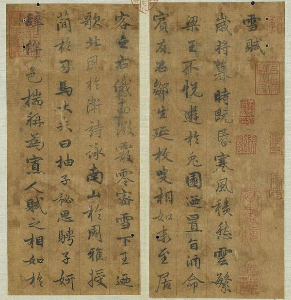 类似草草鸟事