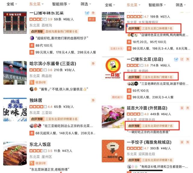 东北候鸟，海南过冬