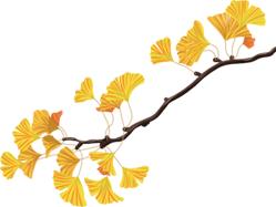 匠心雕刻 木香留芳——探访福州软木画代表性传承人陈君锟