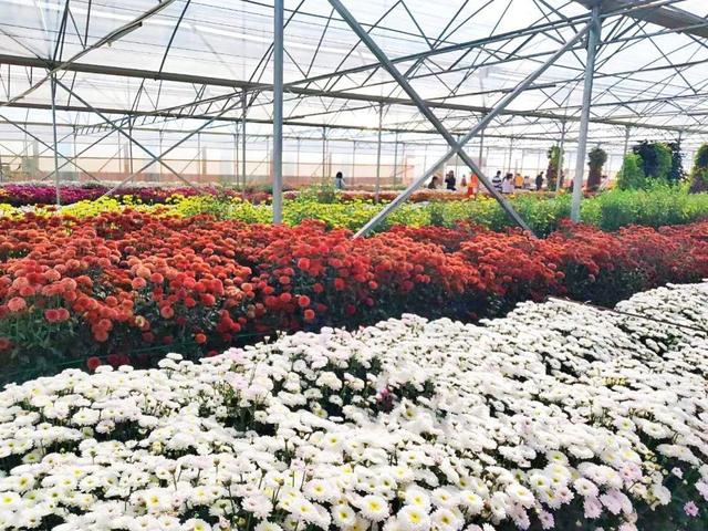 深圳森展装饰工程