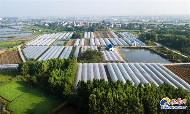 南京高淳固城街道 聚力乡村发展为乡村振兴注入新活力 Zh中文网