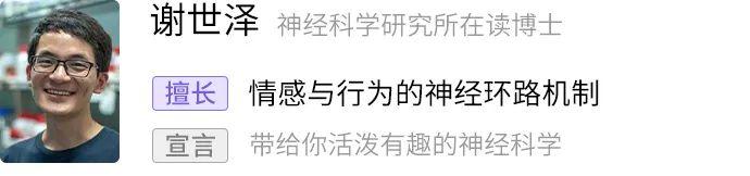 榴莲，一个臭臭香香的热量小炸弹