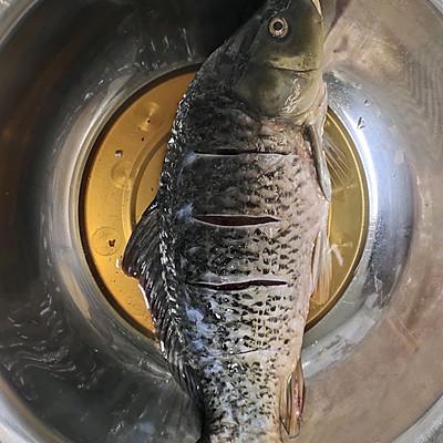 家常炖鱼块的做法，吃鱼会上瘾吗？