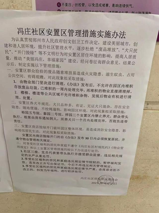 郑州宠物狗