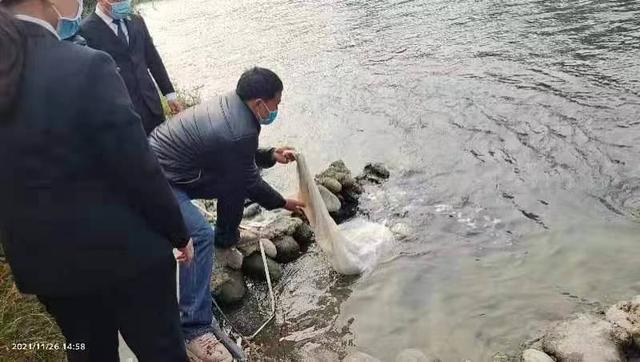 非法捕魚0.3公斤被罰投放價值千元魚苗修復生態- kks資訊網