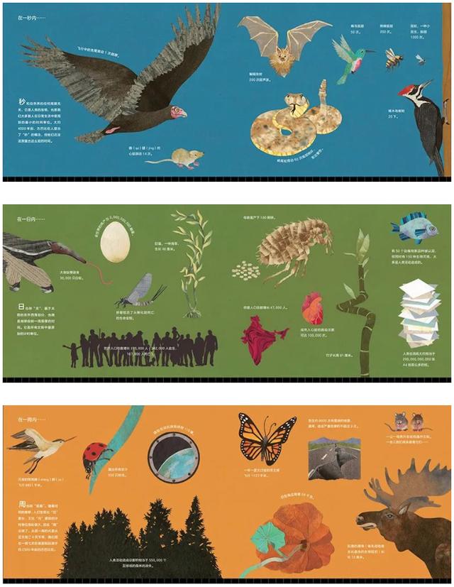 怎么跟孩子解释大小、多少、高低、远近等相对概念？