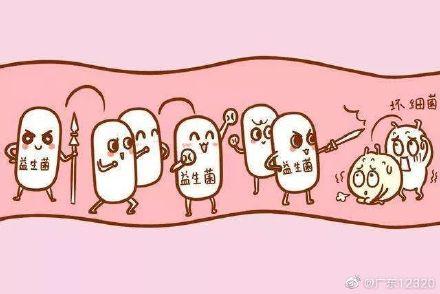 如何让菌群重回平衡