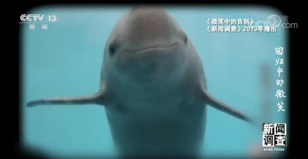 上海沙包土洗砂机厂家