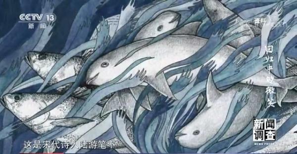 上海沙包土洗砂机厂家